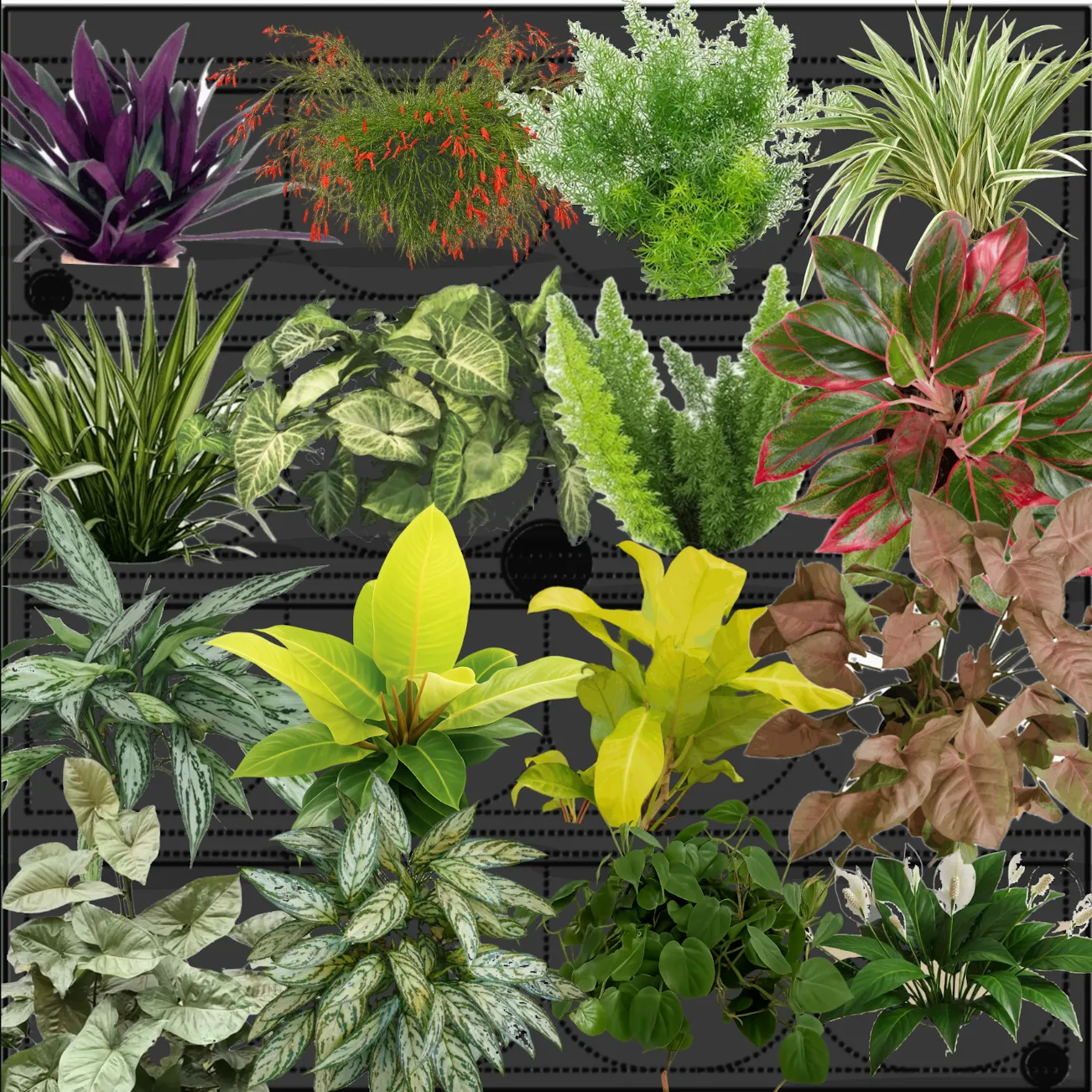 Placa P20R modo feltro com renderização das plantas instaladas